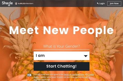 shagle text chat|chat with strangers alternative.